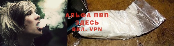 стаф Алексин