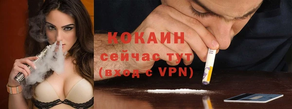 спайс Арсеньев