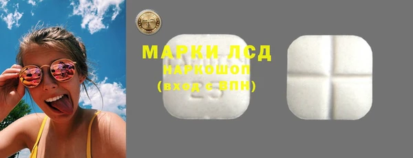 стаф Алексин