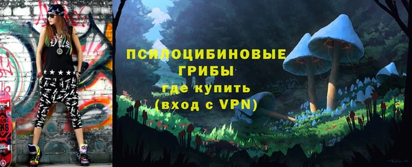 стаф Алексин