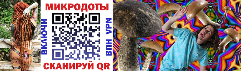 Галлюциногенные грибы Psilocybine cubensis  Жиздра 